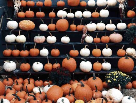 Où acheter du maquillage d'Halloween ?