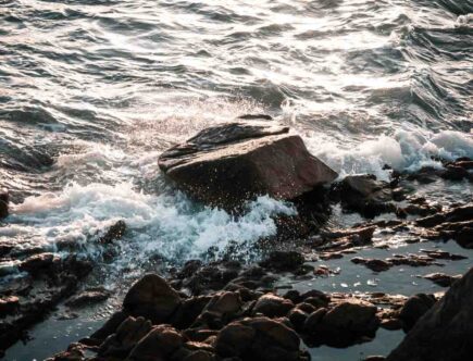 Quel pinceau fond de teint liquide