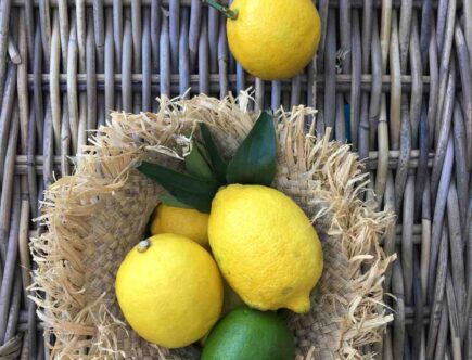 Masque visage miel citron avis