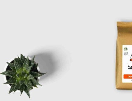 Avis masque visage bio