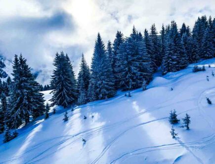 Poudre soleil couvrance