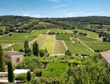 Masque visage dmp provence avis