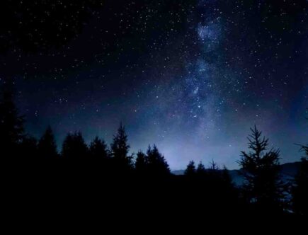 Avis crème de nuit