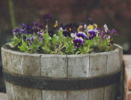 Avis gardenia chanel