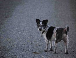Comment faire un maquillage des yeux simple ?