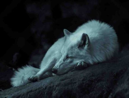 Comment maquiller ses yeux Bleu-gris ?