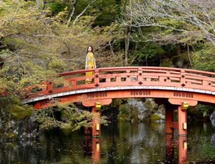 Quel est le rôle de la geisha ?