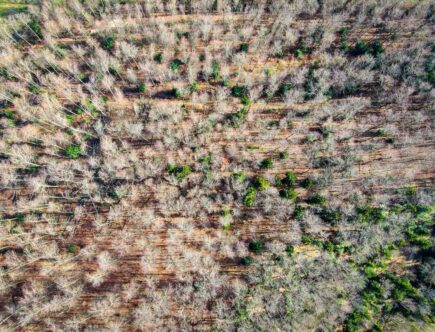 Comment relancer le collagène naturellement ?