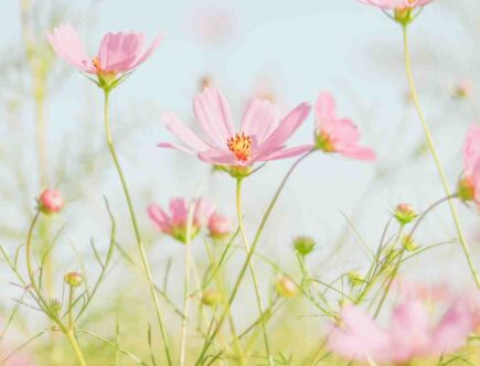 Comment se maquiller printemps ?