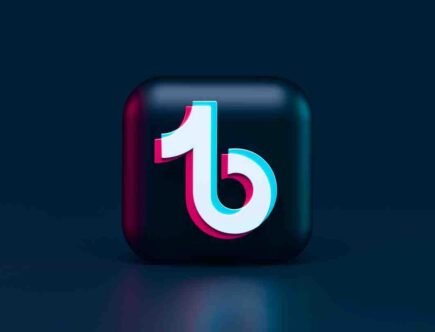 Quel est le TikTok le plus Liker 2020 ?