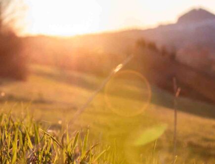 Quelle crème pour se protéger du soleil ?