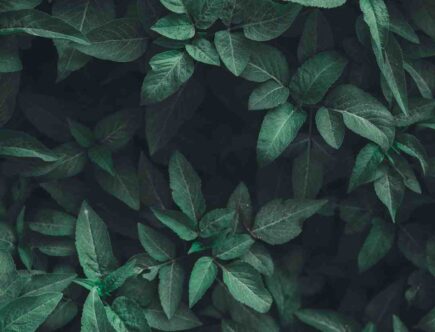 Comment se maquiller pour un effet naturel ?