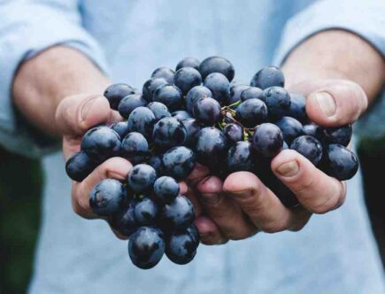 Quel fruit réduit les rides ?
