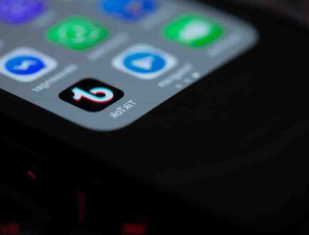 Qui a le plus d abonnes sur TikTok ?