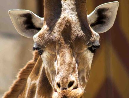 Comment agrandir un regard ?