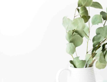 Comment faire des soins maison ?