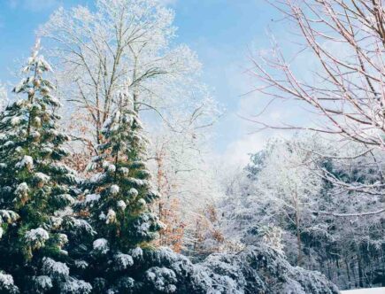 Couleur vernis tendance hiver 2022