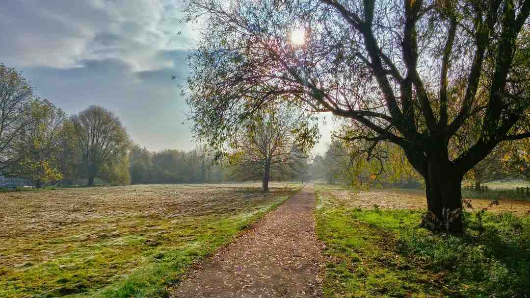 Quel est la différence entre bio et naturel ?