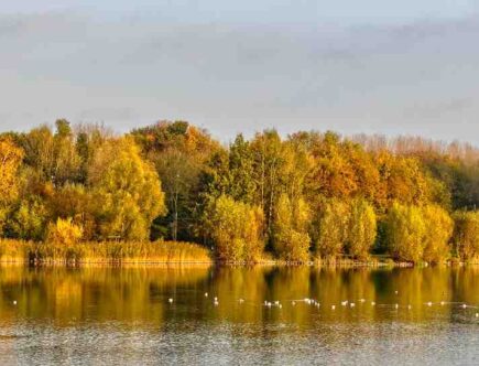 Pourquoi aimer le domaine de la cosmétique ?
