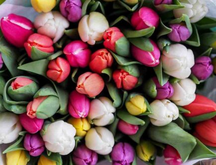 Quel vernis mettre au printemps ?