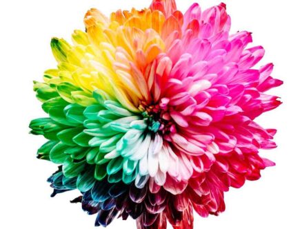 Quelle est la couleur du calme ?