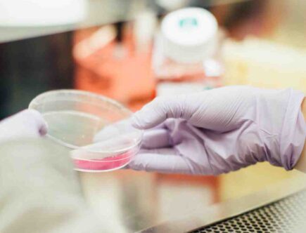 Comment créer un laboratoire cosmétique ?