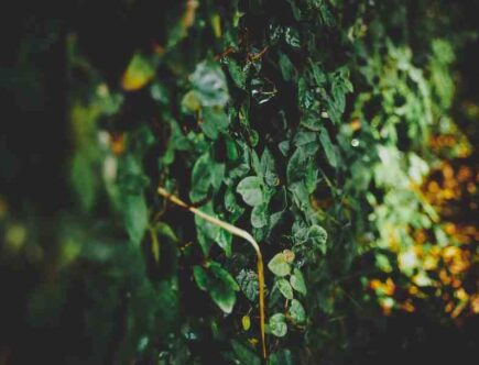 Comment maquiller un teint terne ?