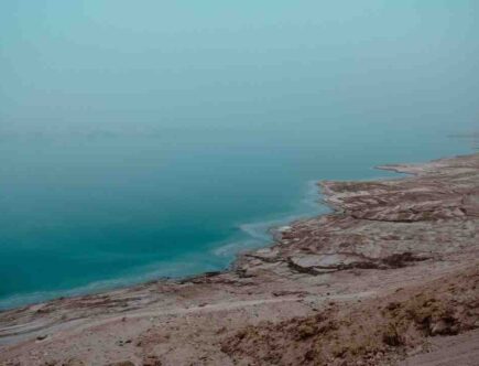 Où vont les cellules mortes ?